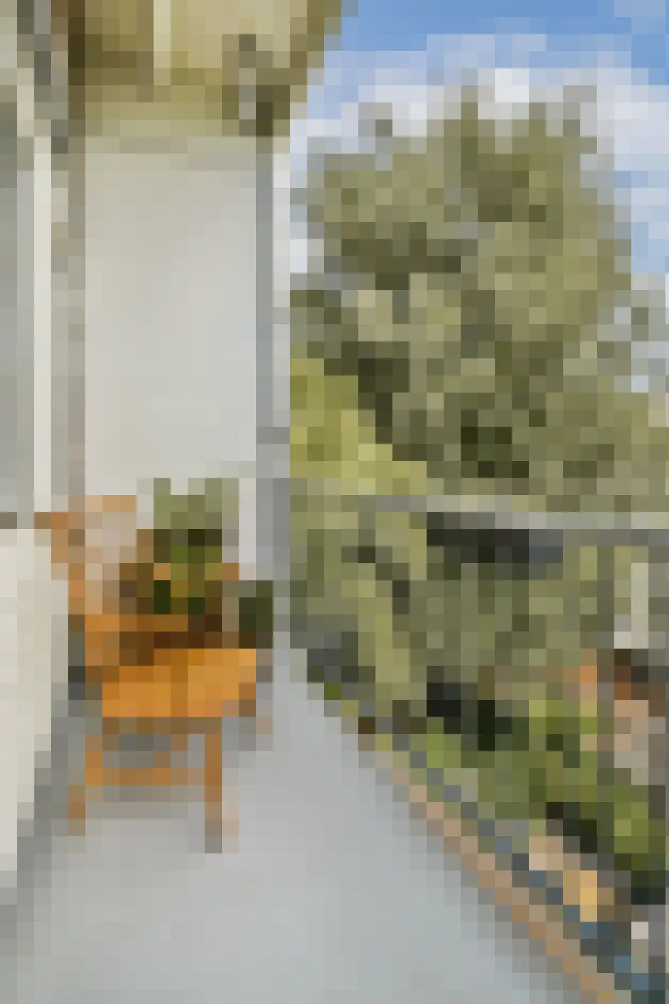 Aalsmeerweg 31 3 Amsterdam thumbnail 14