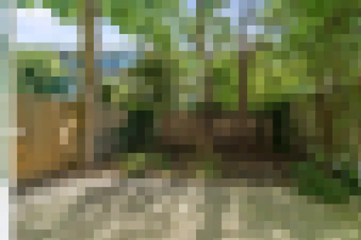 Aalsmeerweg 35 H Amsterdam thumbnail 19