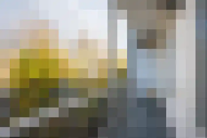 Aalsmeerweg 36 1 Amsterdam thumbnail 18