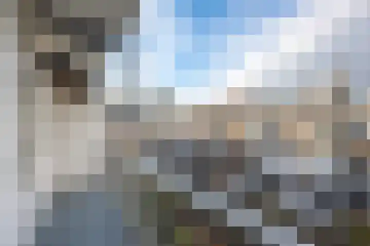 Aalsmeerweg 36 1 Amsterdam thumbnail 19
