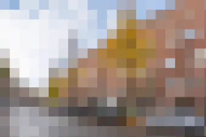 Aalsmeerweg 36 1 Amsterdam thumbnail 26