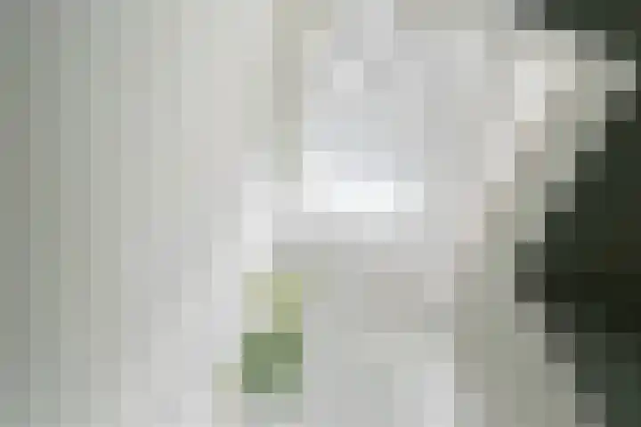Aalsmeerweg 36 4 Amsterdam thumbnail 10