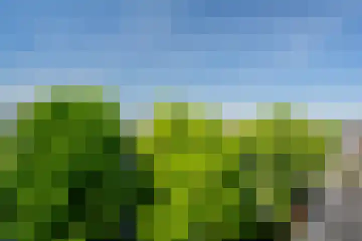 Aalsmeerweg 36 4 Amsterdam thumbnail 14