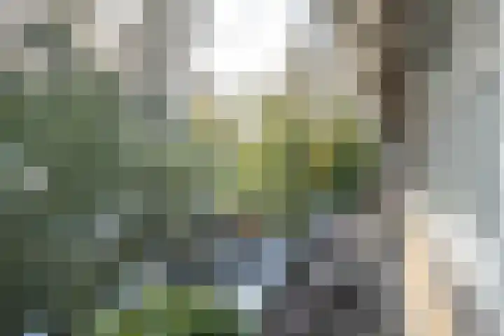 Aalsmeerweg 62 3 Amsterdam thumbnail 12