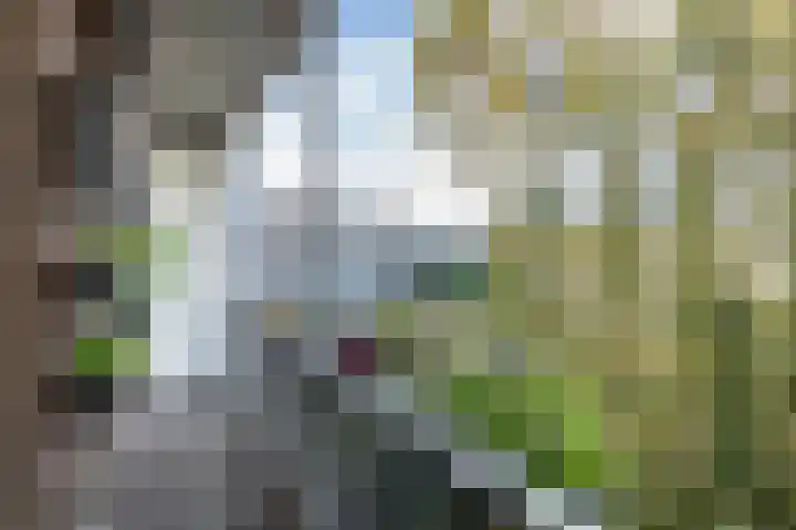 Aalsmeerweg 62 3 Amsterdam thumbnail 15