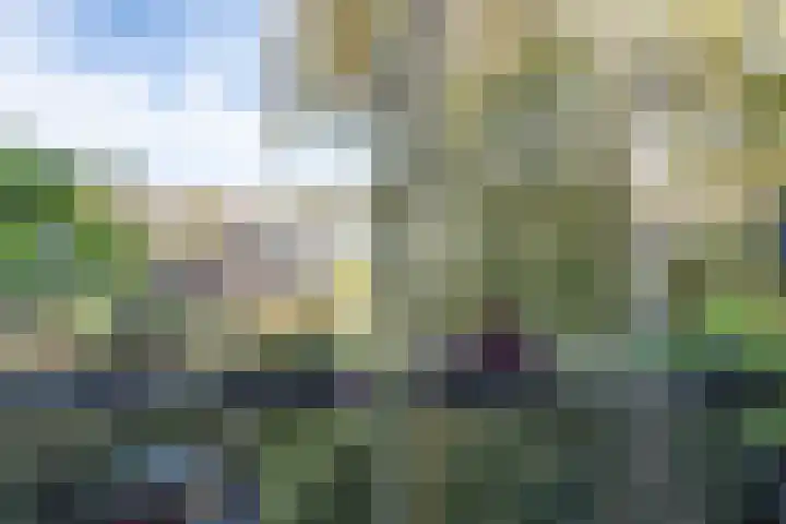 Aalsmeerweg 62 3 Amsterdam thumbnail 17
