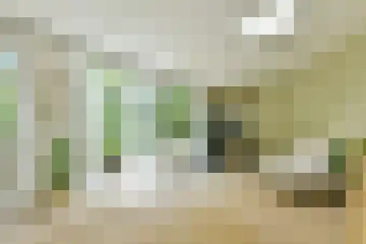 Aalsmeerweg 71 1 Amsterdam thumbnail 21
