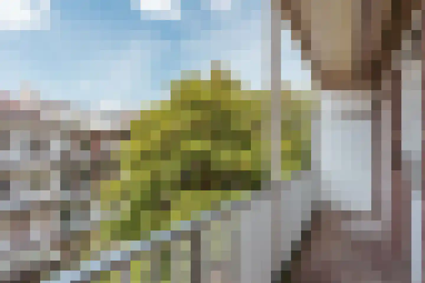 Aalsmeerweg 8 3 Amsterdam thumbnail 10