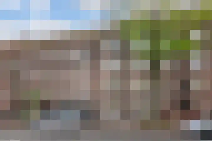 Aalsmeerweg 93 H Amsterdam thumbnail 6