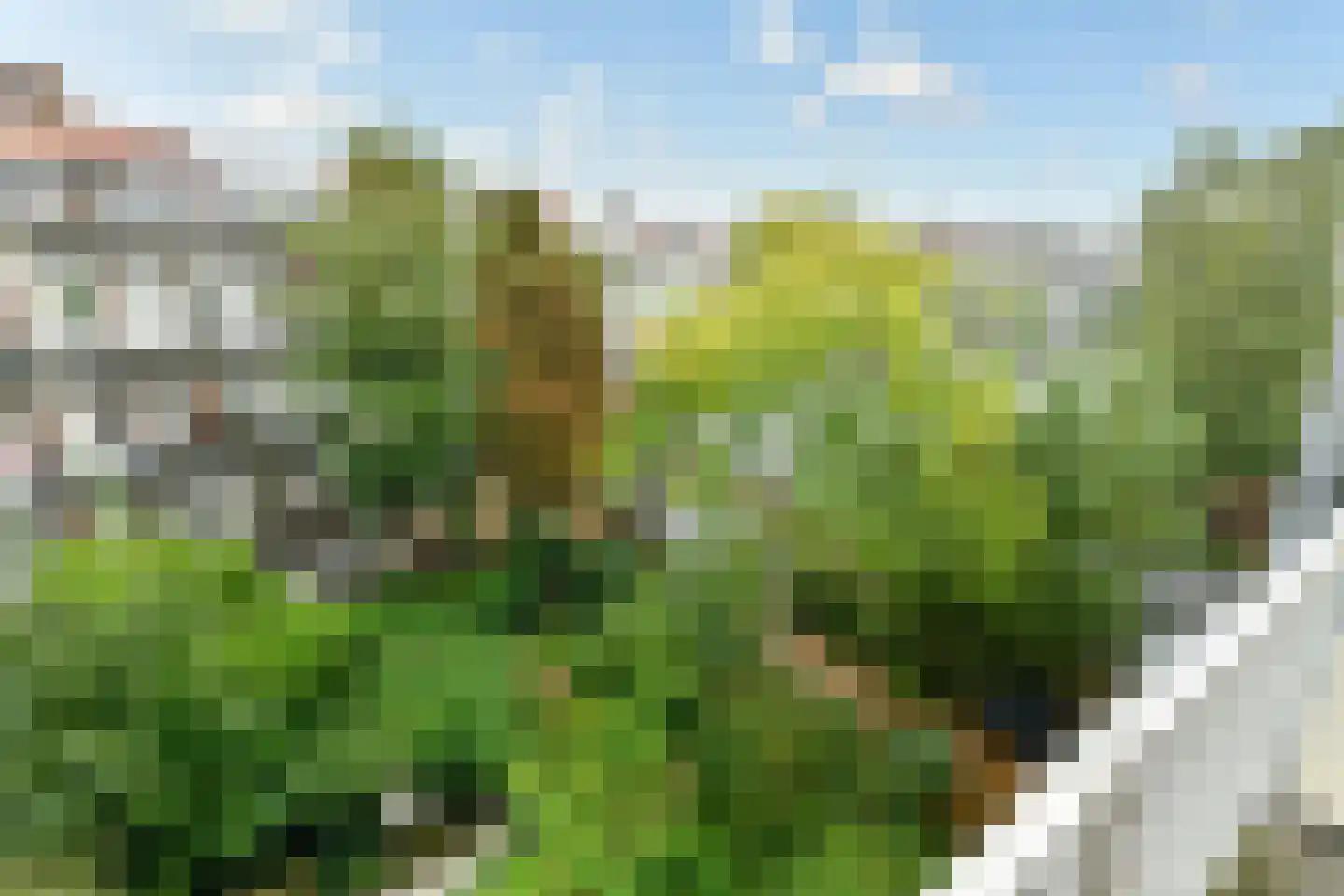 Aalsmeerweg 97 3 Amsterdam thumbnail 19