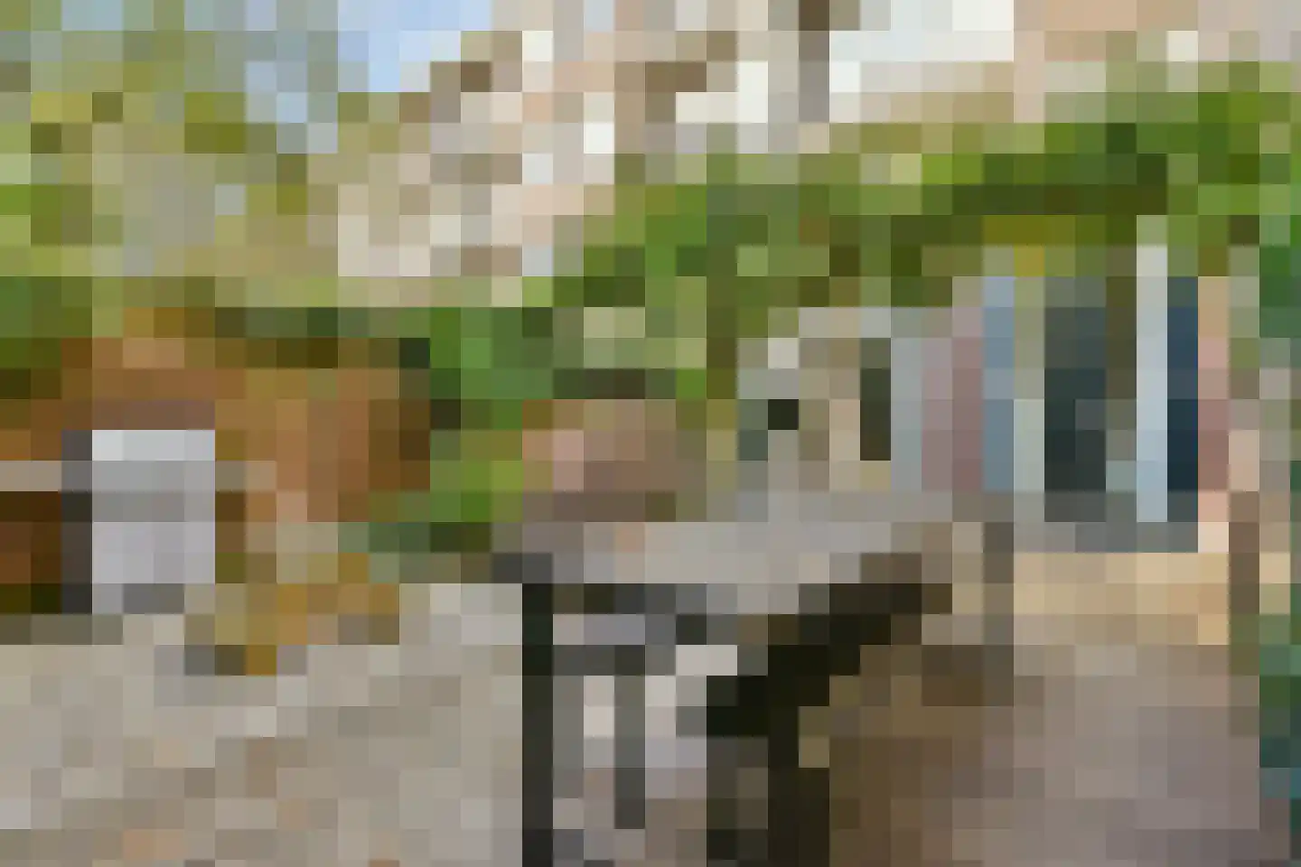 Aalsmeerweg 97 H Amsterdam thumbnail 24