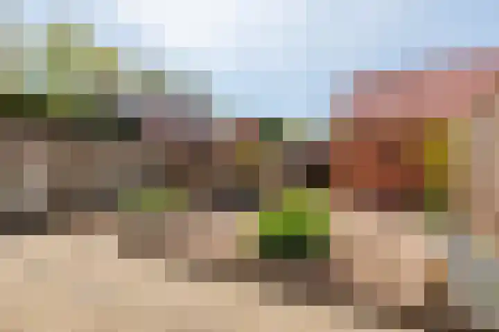 Aalsterveld 1 Beuningen Gld thumbnail 30