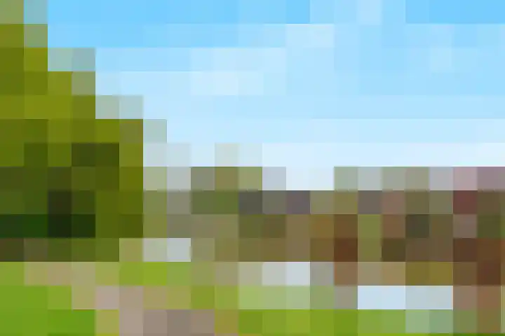 Aalsterveld 1 Beuningen Gld thumbnail 37