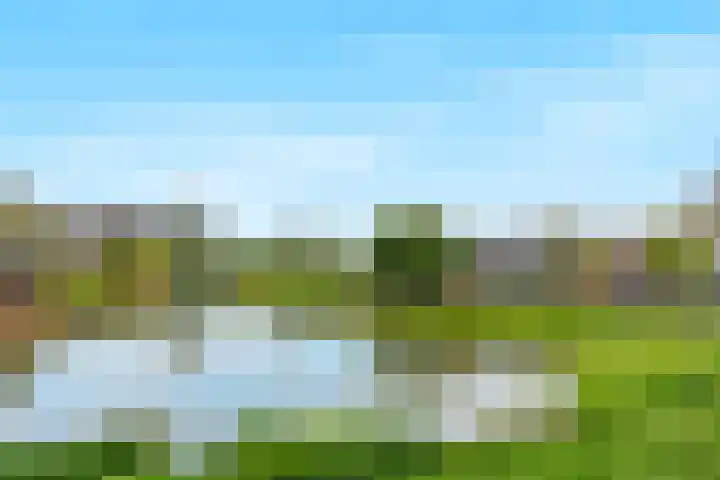 Aalsterveld 1 Beuningen Gld thumbnail 39