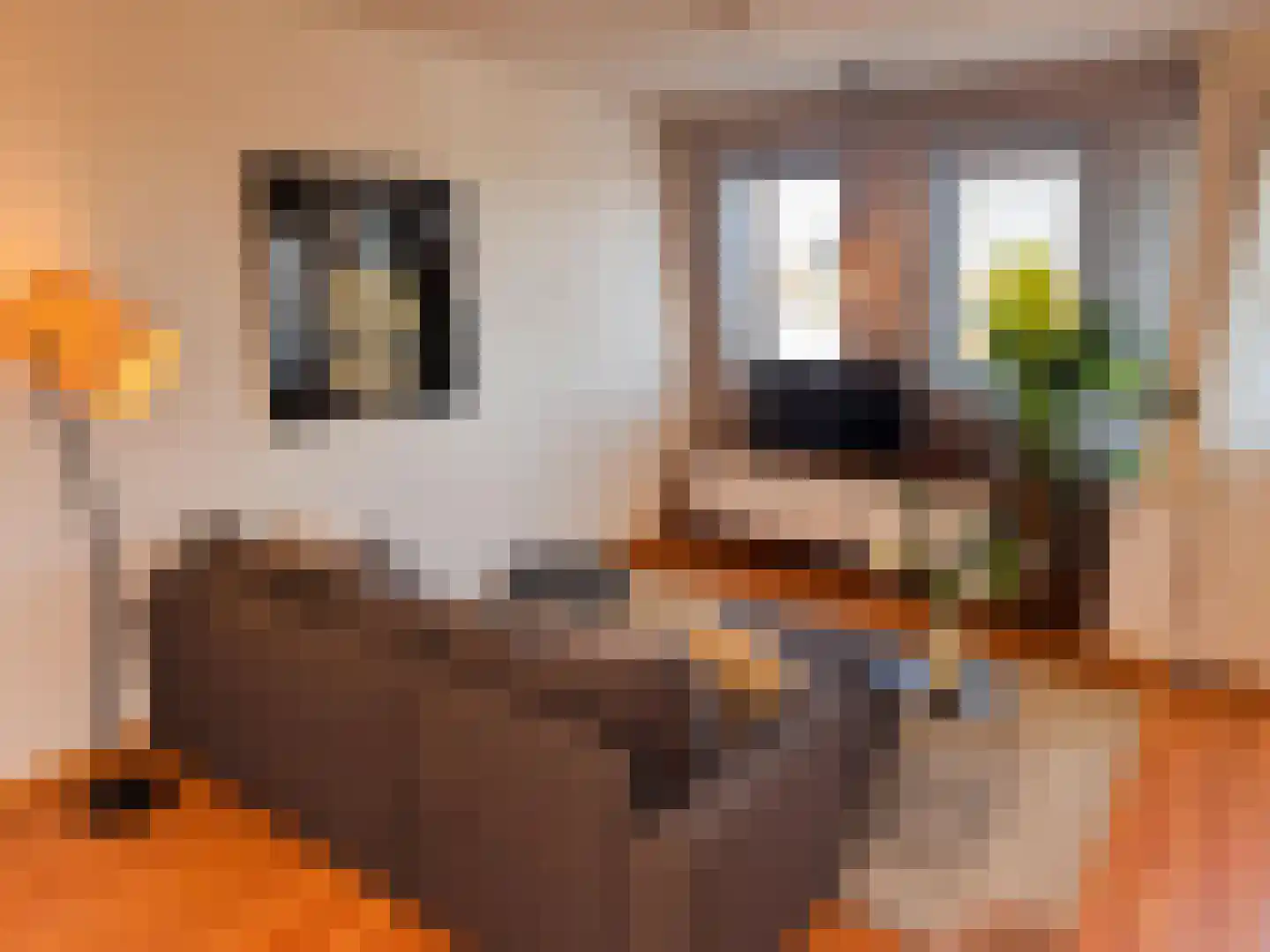 Aalsterweg 132 C Eindhoven thumbnail 5