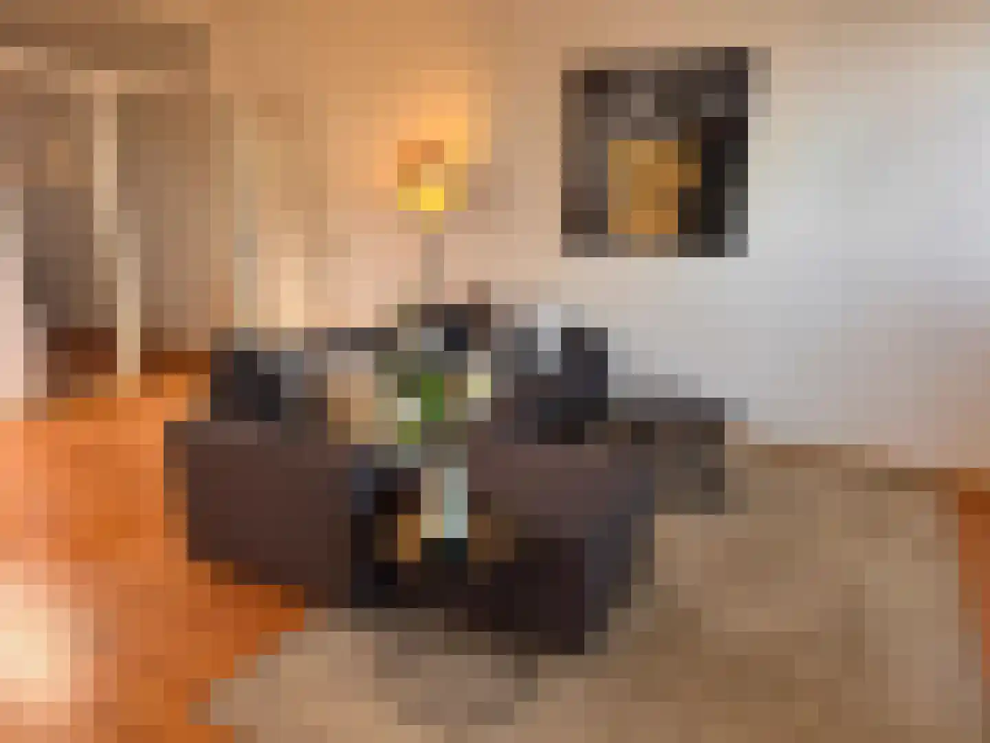 Aalsterweg 132 C Eindhoven thumbnail 6