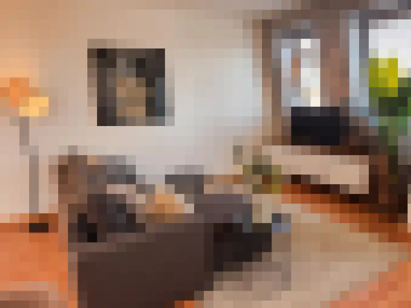 Aalsterweg 132 C Eindhoven thumbnail 9