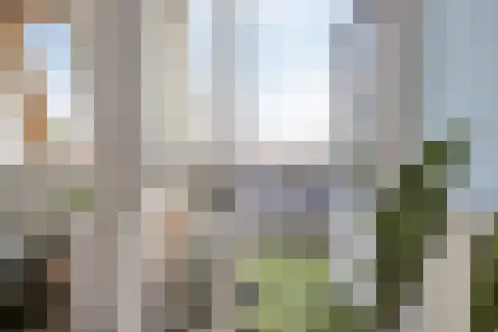 Aalsterweg 132 E Eindhoven thumbnail 16