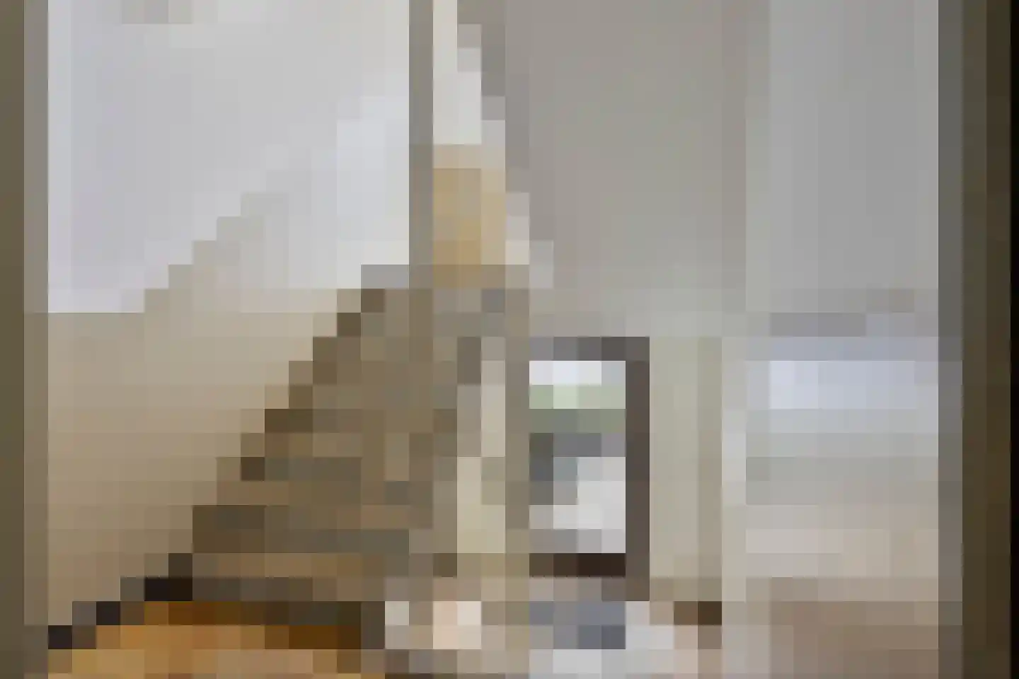 Aalsterweg 154 Eindhoven thumbnail 20