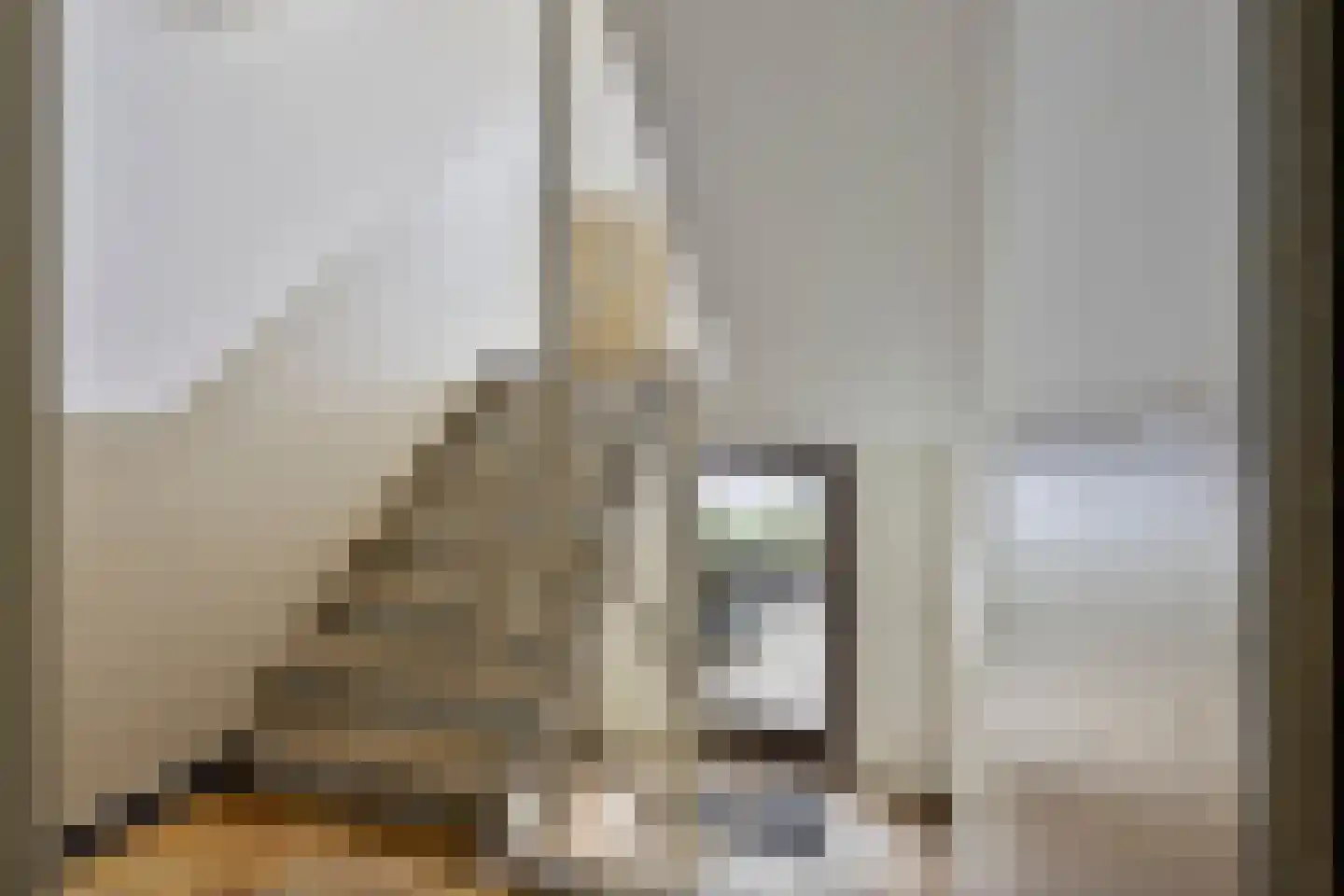 Aalsterweg 154 Eindhoven thumbnail 20