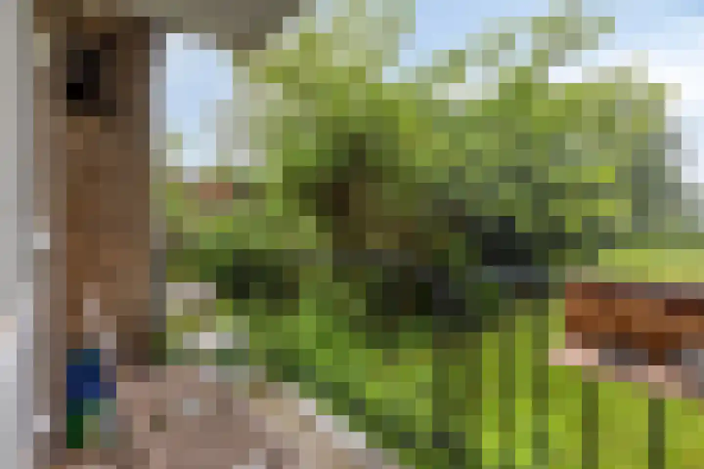 Aalsterweg 154 Eindhoven thumbnail 9