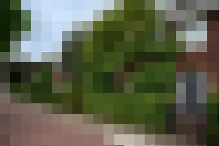 Aalsterweg 174 Eindhoven thumbnail 40