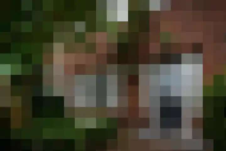 Aalsterweg 174 Eindhoven thumbnail 42