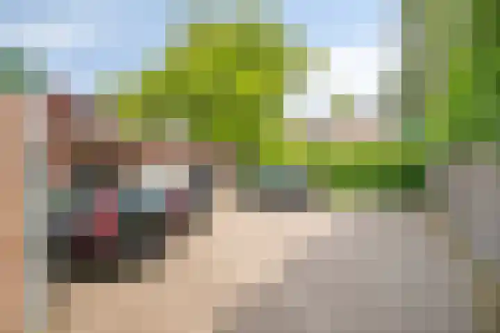 Aalsterweg 176 Eindhoven thumbnail 35