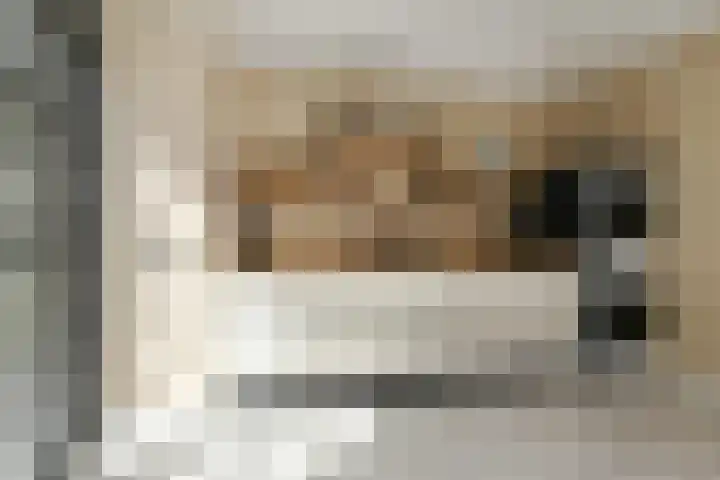 Aalsterweg 222 Eindhoven thumbnail 13