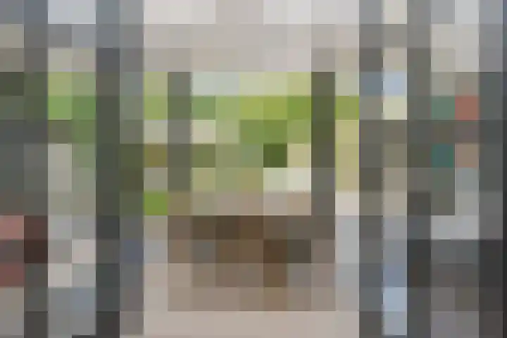 Aalsterweg 222 Eindhoven thumbnail 30