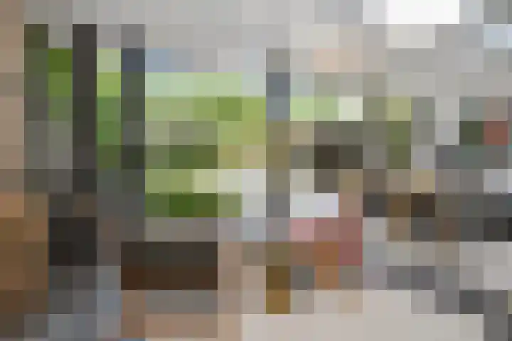 Aalsterweg 222 Eindhoven thumbnail 32