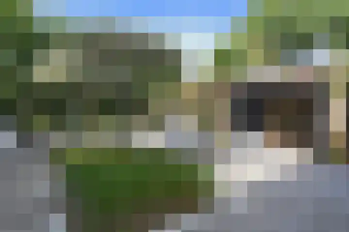 Aalsterweg 222 Eindhoven thumbnail 33