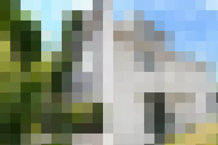 Aalsterweg 222 Eindhoven thumbnail 37