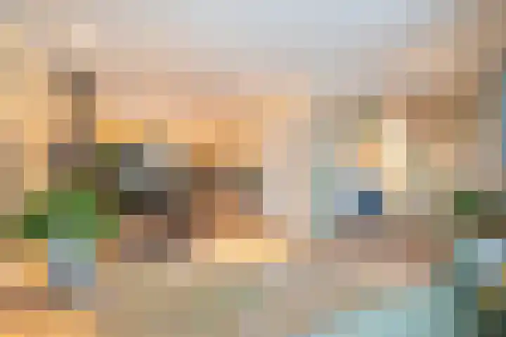 Aalsterweg 222 Eindhoven thumbnail 4
