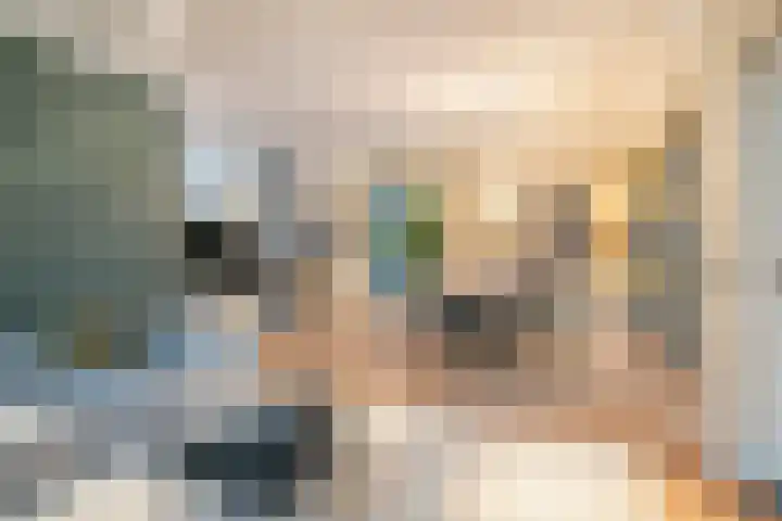 Aalsterweg 222 Eindhoven thumbnail 7