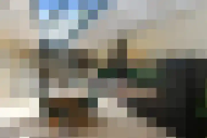 Aalsterweg 222 Eindhoven thumbnail 8