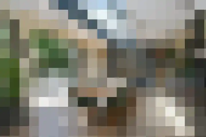 Aalsterweg 222 Eindhoven thumbnail 9