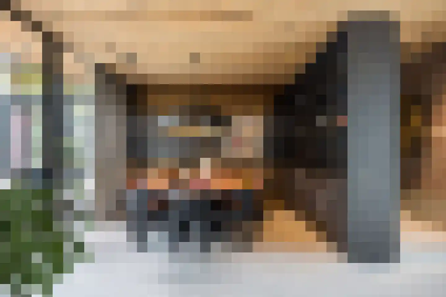 Aalsterweg 237 Eindhoven thumbnail 13