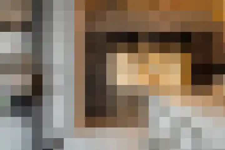 Aalsterweg 237 Eindhoven thumbnail 16