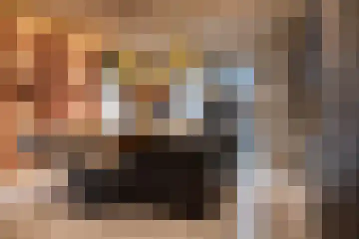 Aalsterweg 237 Eindhoven thumbnail 17