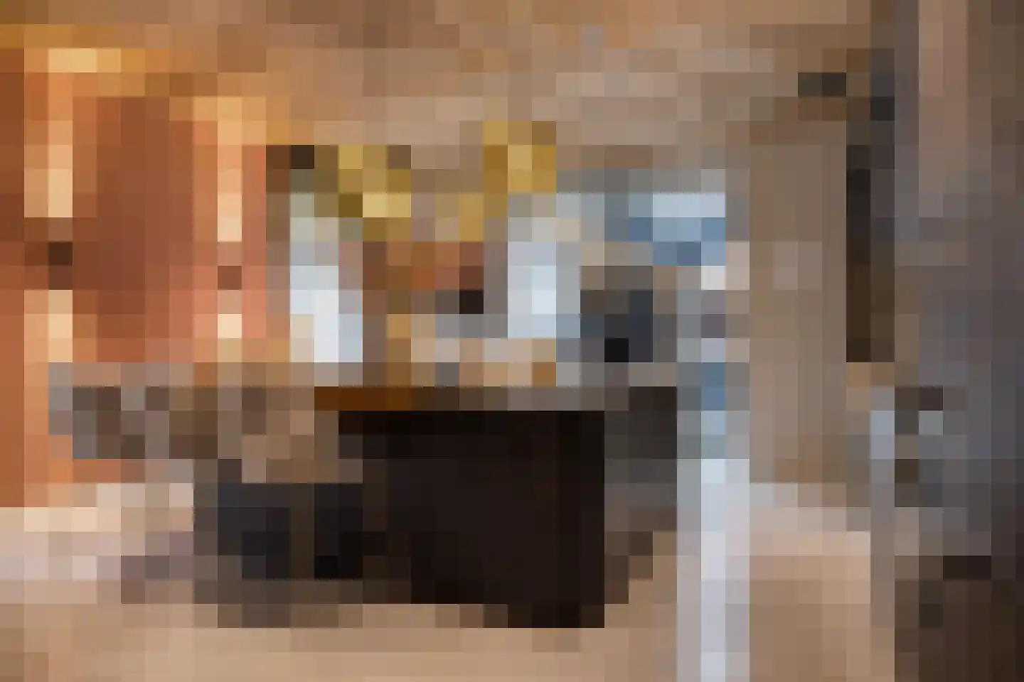 Aalsterweg 237 Eindhoven thumbnail 17