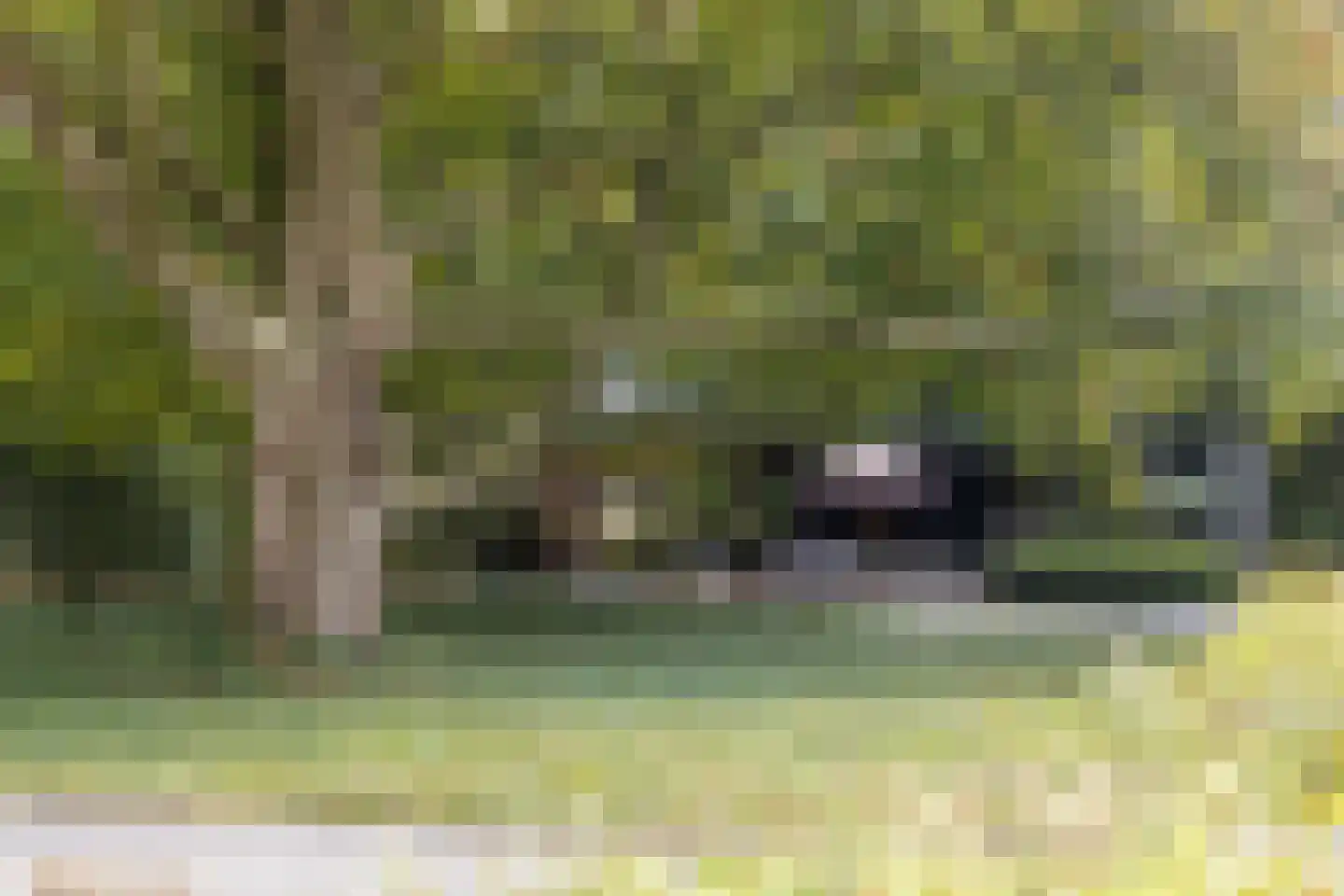 Aalsterweg 237 Eindhoven thumbnail 22