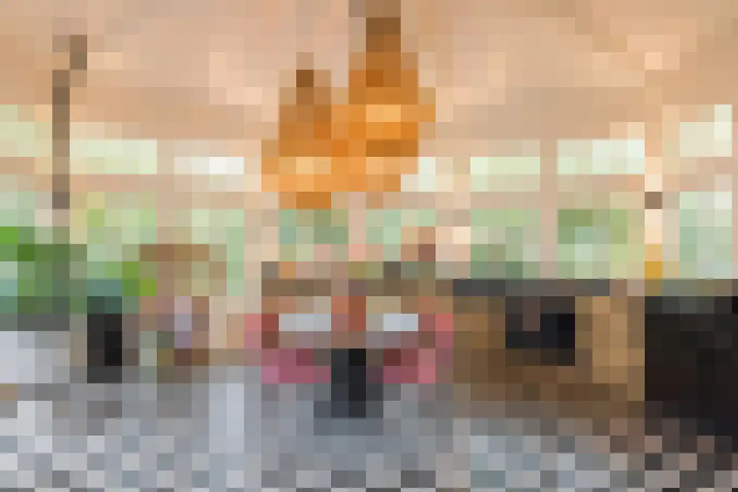 Aalsterweg 237 Eindhoven thumbnail 23