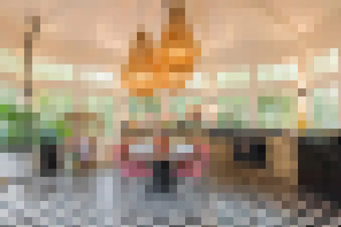 Aalsterweg 237 Eindhoven thumbnail 23