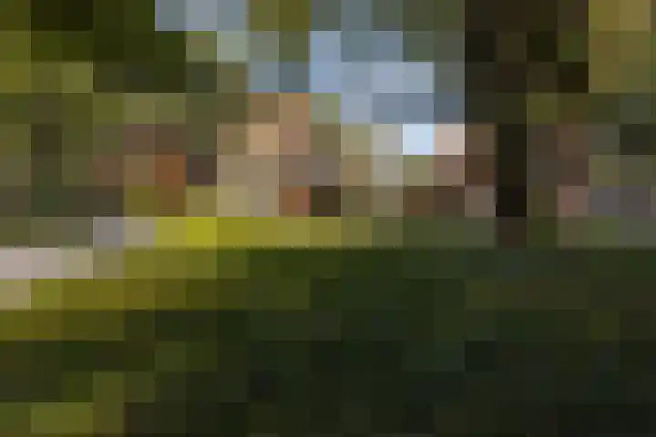 Aalsterweg 237 Eindhoven thumbnail 26
