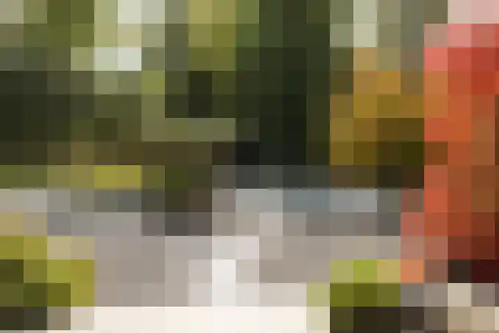 Aalsterweg 237 Eindhoven thumbnail 28