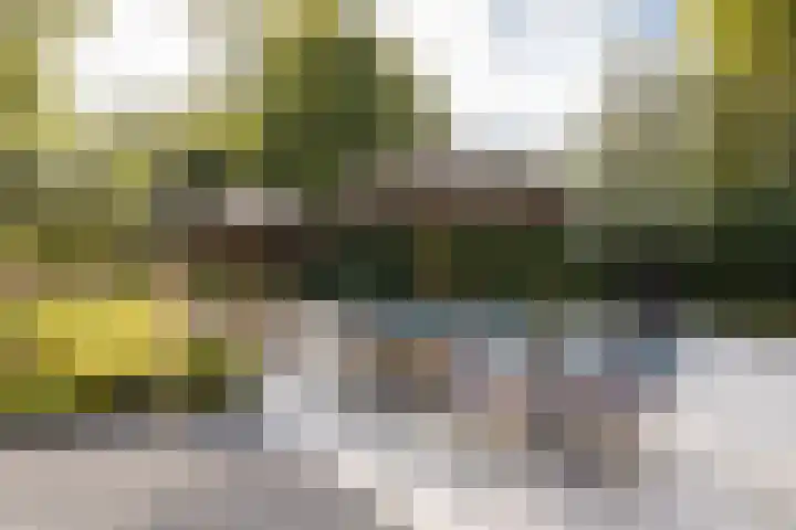 Aalsterweg 237 Eindhoven thumbnail 29