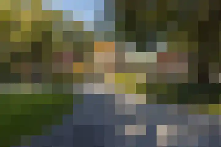 Aalsterweg 237 Eindhoven thumbnail 6