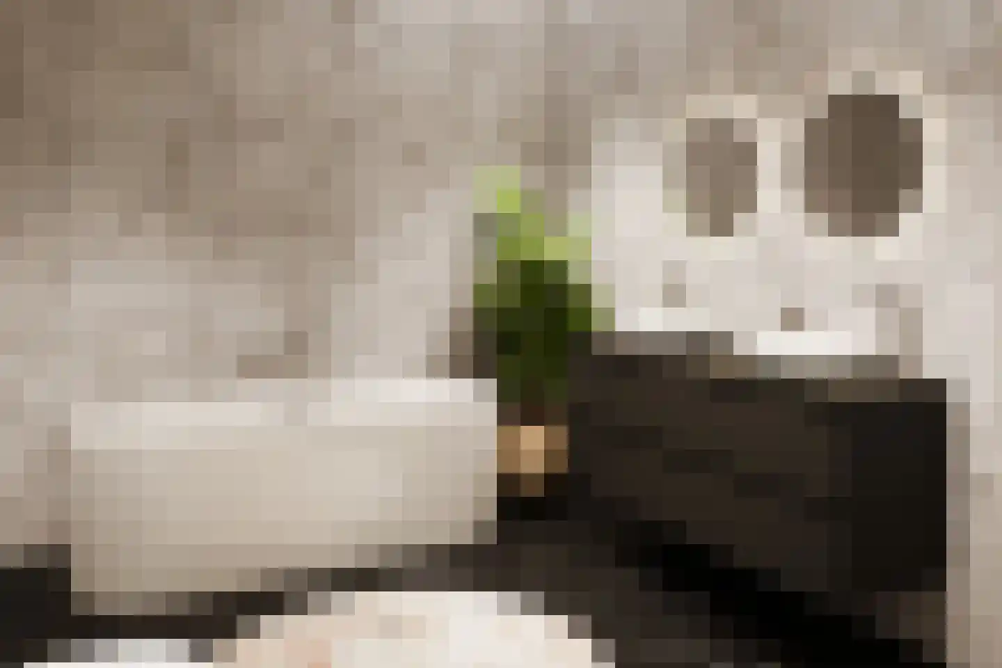 Aalsterweg 281 C Eindhoven thumbnail 7