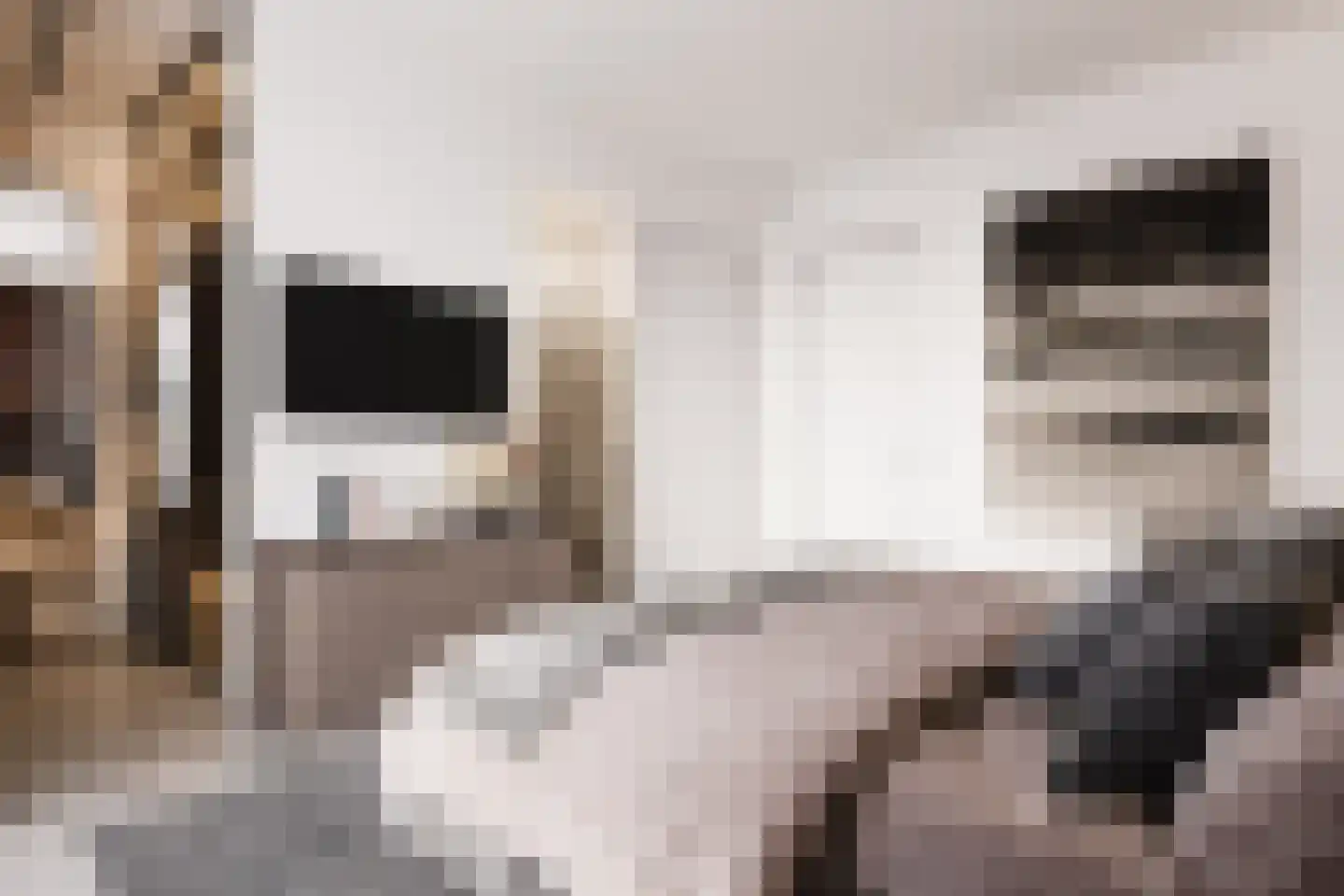 Aalsterweg 281 K Eindhoven thumbnail 4